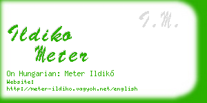 ildiko meter business card